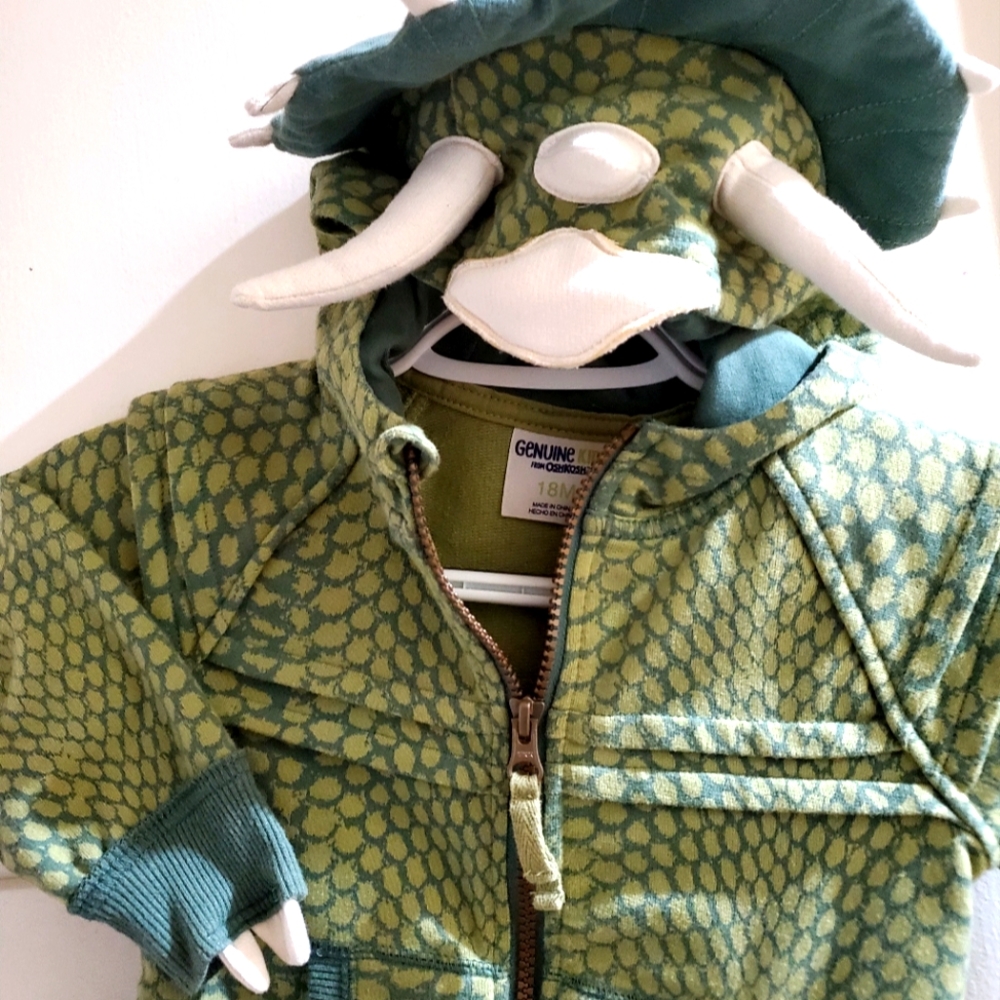 Fun Dinosaur Hoodie